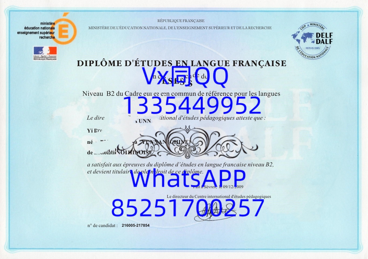 DELF B2 法语证书全解析