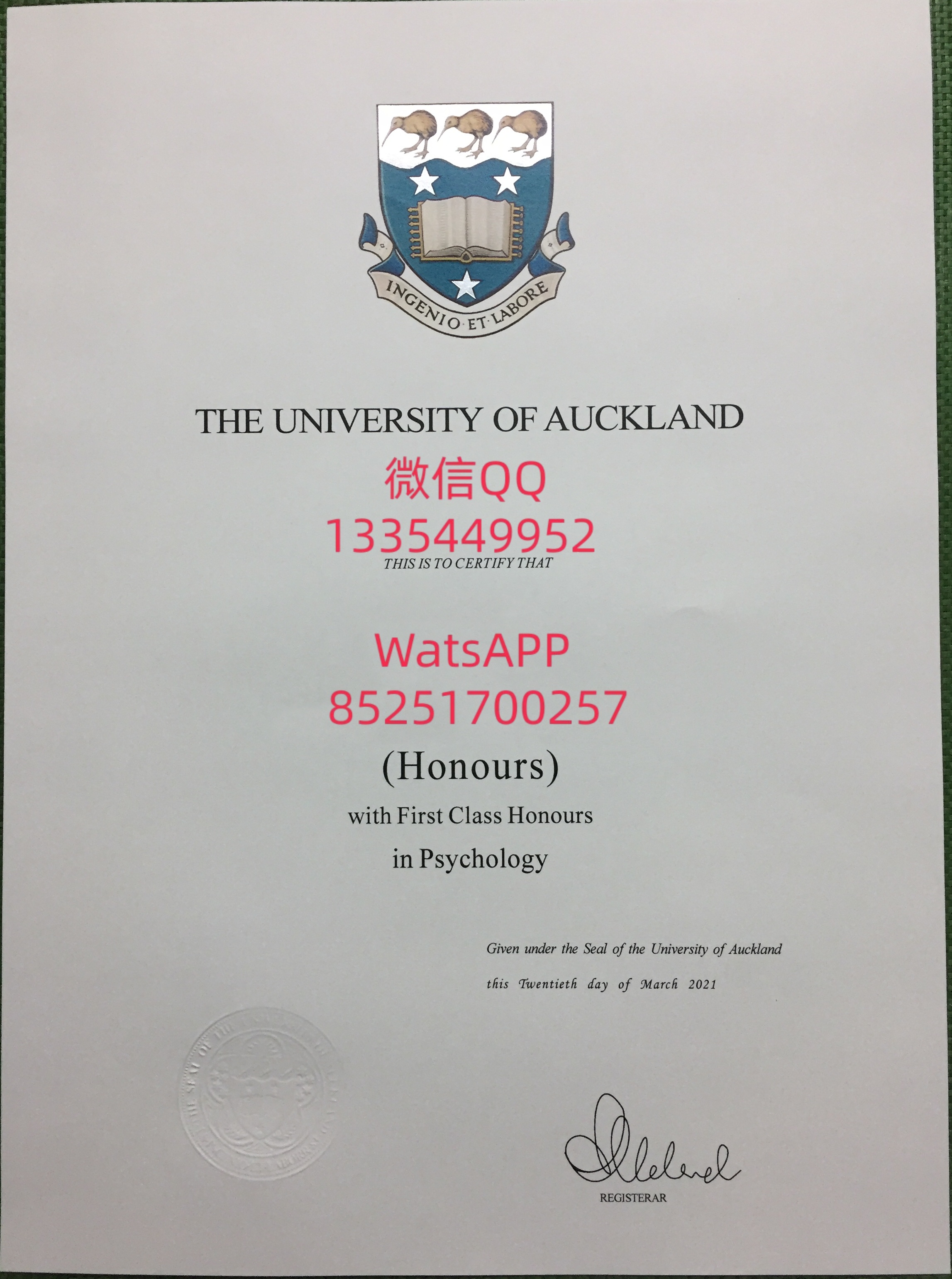 2026年奥克兰大学：QS百强领衔，本科教育迭代升级